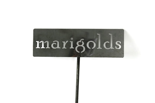 Classic Metal Garden Markers 19 Inches Tall (marigolds, Raw, Unfinished Steel (will rust with time))-VerdiqueGarden