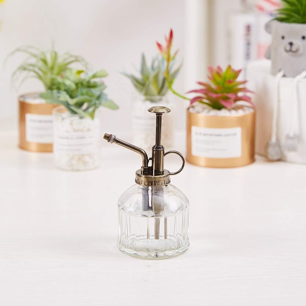 Glass Plant Mister Spray Bottle, 6.5" Tall Vintage Plant Water Spritzer Sprayer, Succulent Watering Bottle with Top Pump, Small Glass Watering Can for Indoor Outdoor Houseplant - Clear-VerdiqueGarden