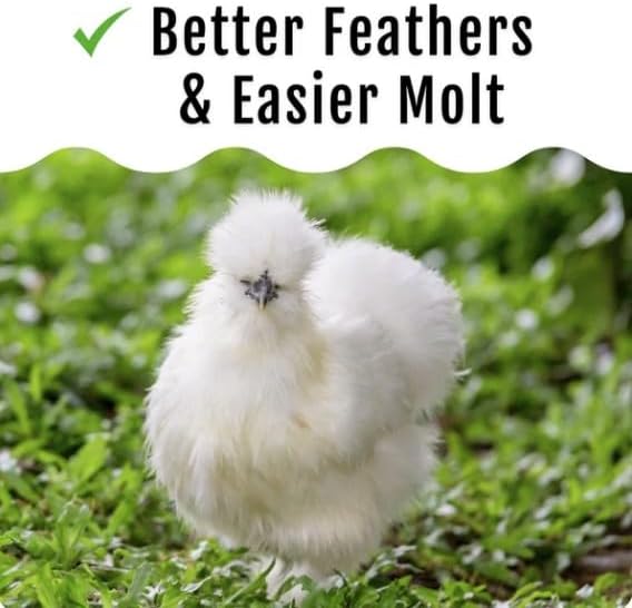 Grub Fuel Black Soldier Fly Larvae for Chickens - Nutrient Packed BSFL, Sustainably Sourced Snack for Poultry, Rich in Protein, Calcium, Fiber, Essential Fatty Acids, USA Grown (5LB)-VerdiqueGarden