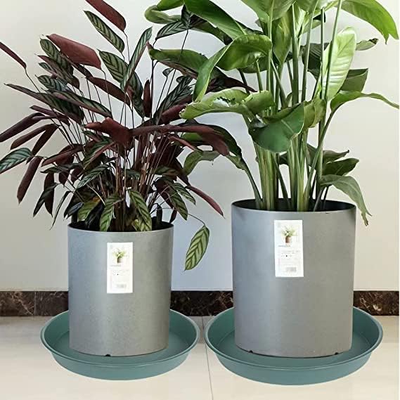 6 Pack of Bird Bath Bowl 8 inch, 8 10 12 14 16 18 20 inch Heavy Duty BirdBath Bowls only, Durable Plastic Round Large Plant Saucer Dish for Garden (8", Green)-VerdiqueGarden