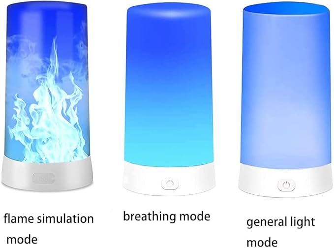 Led Flame Light,USB Rechargeable LED Fire Candles Outdoor Hanging Lamps with Remote for Home Party Halloween Christmas Decoration (Blue)-VerdiqueGarden