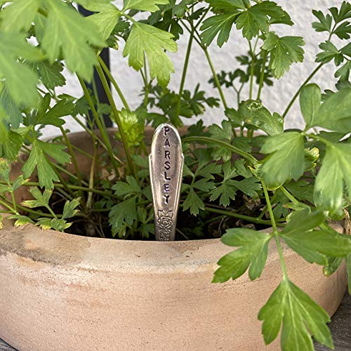Herb Markers Set of 6 GARDEN stakes Made From Vintage Spoon Handles Oregano, Basil, Parsley, Rosemary, Thyme, Dill. Garden Markers Herb Labels-VerdiqueGarden