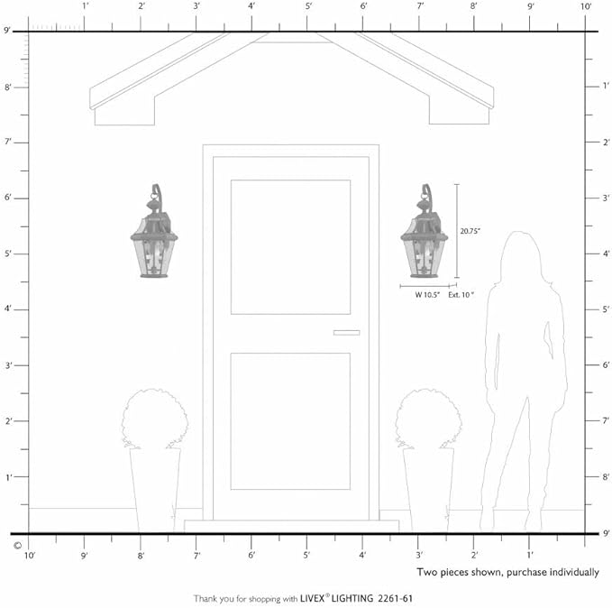 Livex Lighting 2261-91 Georgetown 2 Light Outdoor Wall Lantern, Brushed Nickel-VerdiqueGarden