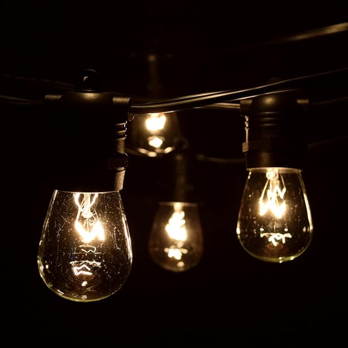 Hometown Evolution, Inc. Commercial E26 String Lights with 16 Gauge Wire (50 Foot 25 Socket, S14 11 Watt Clear Bulb)-VerdiqueGarden