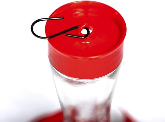 Nature's Rhythm Bird Feeder 4 bee Guard Plastic Feeding Port 8oz Glass Pinch Waist Hummingbird Feeder,1pcs-VerdiqueGarden
