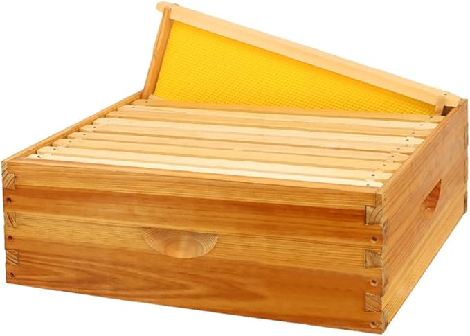 10 Frame Bee Hive Box, Langstroth Medium Super Bee Box Dipped in 100% Beeswax Include Beehive Frames and Waxed Foundation Sheets (Unassembled)-VerdiqueGarden