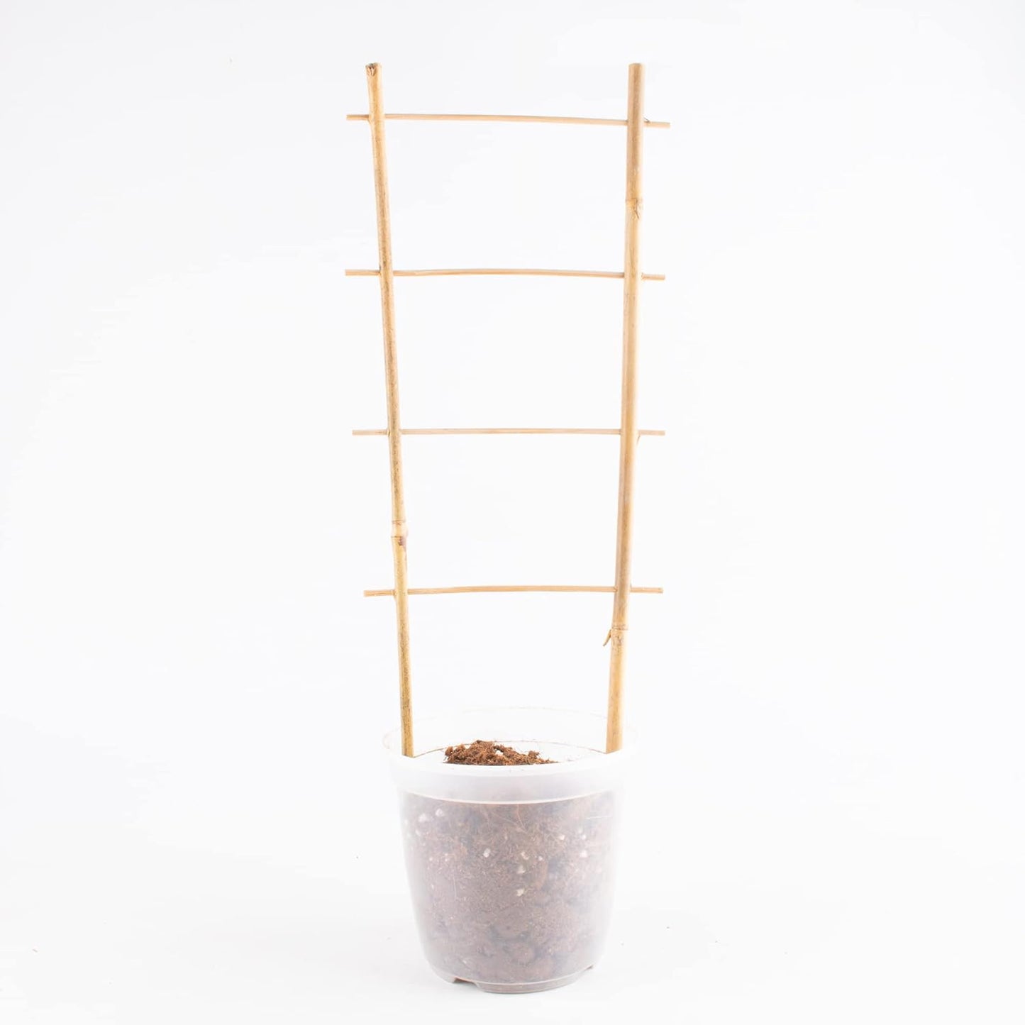 Avalution 10 Pack Natural Bamboo Trellis for Climbing Plants 16" Outdoor Garden Ladder Trellis, Fan -Shaped Plant Support Trellis for Potted Plant-VerdiqueGarden