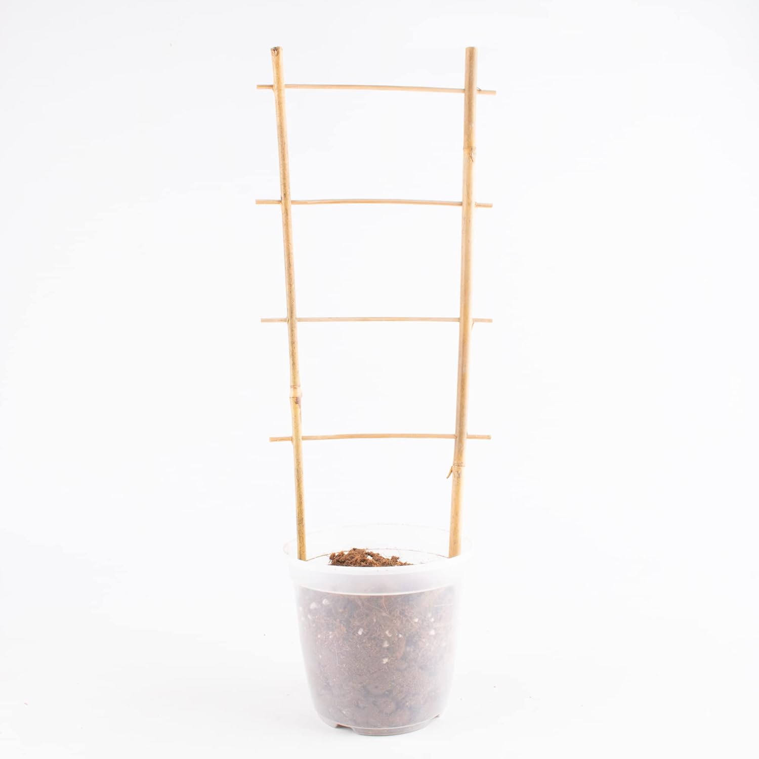 Avalution 10 Pack Natural Bamboo Trellis for Climbing Plants 16" Outdoor Garden Ladder Trellis, Fan -Shaped Plant Support Trellis for Potted Plant-VerdiqueGarden