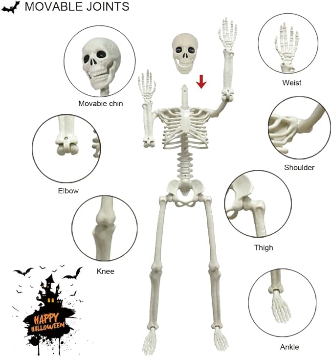CAMIRUS 2PACK Plastic Posable Halloween Skeleton Decorations, 3FT Poseable Skeleton Full Body with Movable Joints for Halloween Indoor/Outdoor Haunted Houses, Lawn, Graveyard Decor-VerdiqueGarden