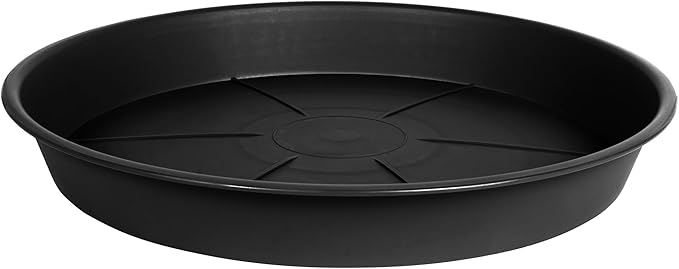 1 Pack of Plant Saucer Tray 8 inch, Heavy Duty Plastic Pot Plant Drip Trays Saucers for for Indoors Outdoor, Plant Water Tray for Planters (8", Black)-VerdiqueGarden