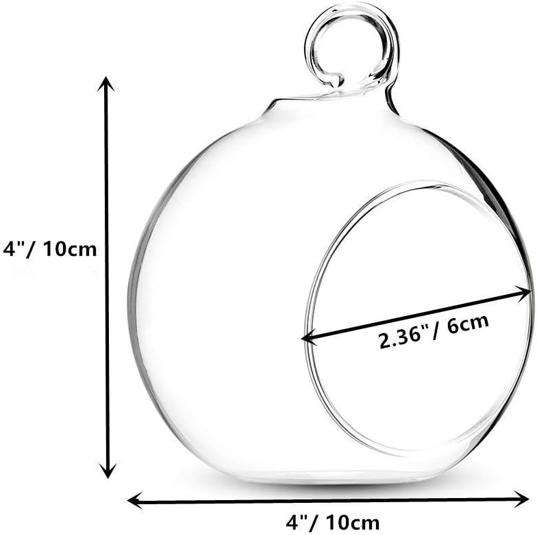 Set of 12 Air Plant Holder Hanging Glass Globe Tea Light Candle Holders Home Wedding Party Centerpieces Decor Indoor Outdoor Tealight Candleholders (12Pcs 4 inches Diameter)-VerdiqueGarden