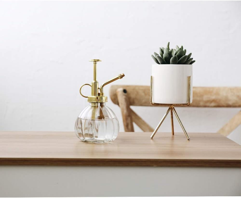 Plant Mister, 6.5" Tall Decorative Glass Water Spray Bottle with Gold Top Pump Small Watering Can by Ebristar - Clear-VerdiqueGarden