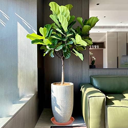 2 Pack of Bird Bath Bowl 14 inch, 1.6" Depth, 12 14 16 18 19 inch Heavy Duty BirdBath Bowls only, Plastic Round Large Plant Saucer Dish for Garden (14", Terracotta)-VerdiqueGarden