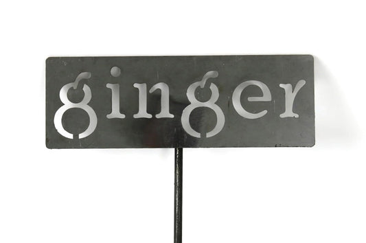 Classic Metal Garden Markers 19 Inches Tall (ginger, Raw, Unfinished Steel (will rust with time))-VerdiqueGarden