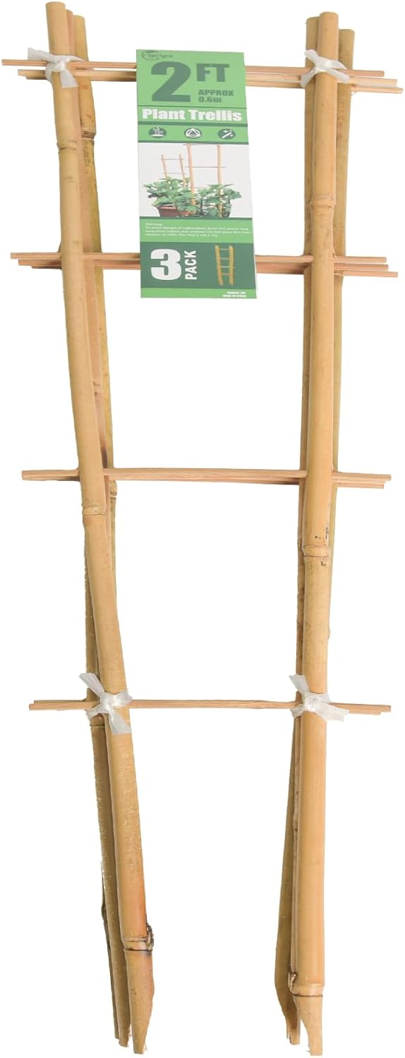 Bamboo Trellis 2FT 3 Pack, S2 Natural Bamboo Plant Ladder Stakes 24 Inch, Fan-Shaped Plant Support Stand for Orchid Vines, Monarchs, Ivy and Other Plants Climbing, Help Plant Growth-VerdiqueGarden