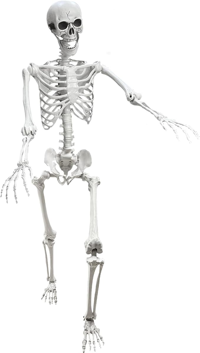 Lodou 5.4Ft Posable Life Size Human Adult Skeletons Plastic Human Bones with Movable Joints for Halloween Decoration-VerdiqueGarden