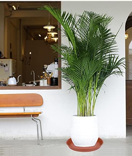 2 Pack of Bird Bath Bowl 14 inch, 1.6" Depth, 12 14 16 18 19 inch Heavy Duty BirdBath Bowls only, Plastic Round Large Plant Saucer Dish for Garden (14", Terracotta)-VerdiqueGarden