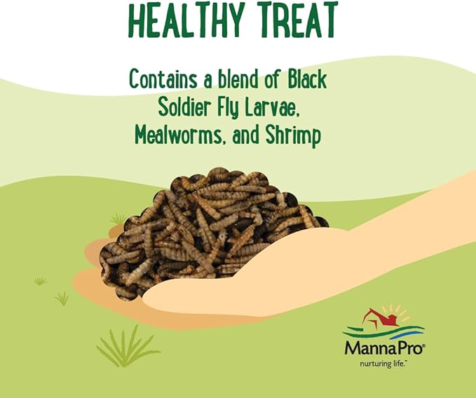Manna Pro Farmhouse Favorites Critter Combo Crunch Poultry Treat - Protein Poultry Treat - Encourages Natural Foraging Behavior - 100% Natural Blend of Soldier Fly Larvae, Mealworms & Shrimp - 2lb Bag-VerdiqueGarden