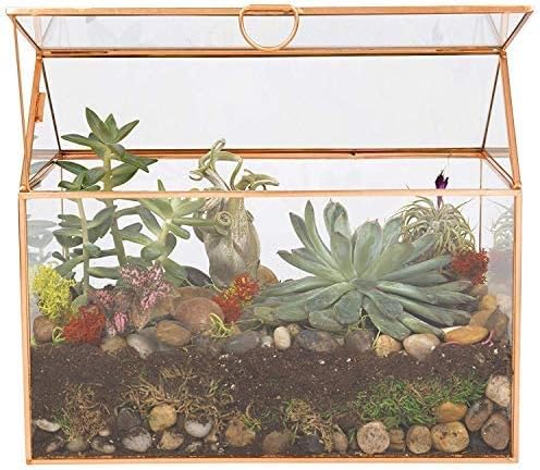 D'Eco Glass House Plant Terrarium (10"x6"x8") - Indoor Tabletop Gold Geometric Planter Terrarium for Succulents, Air Plants, Moss - Home, Garden, Wedding & Office Decor - Gift for Plant Lovers-VerdiqueGarden