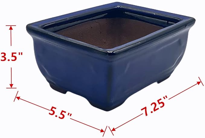 Live Dwarf Juniper Bonsai Tree 7 Year Old | Juniper or Jade Bonsai Tree | Indoor/Outdoor | 100% Handcrafted| Home and Office Décor | Best Gift for Holiday-VerdiqueGarden