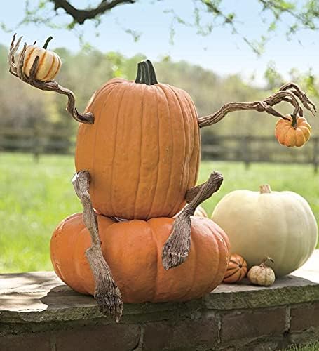 Plow & Hearth Set of 4 Bendable Pumpkin Arms and Legs | Create Whimsical Halloween Decor | Spooky Vine Design | Includes 2 arms and 2 Legs, Iron, Orange-VerdiqueGarden