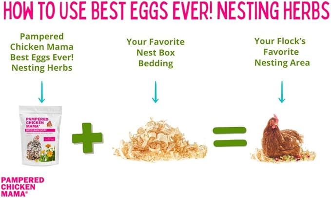 Pampered Chicken Mama Best Eggs Ever! Nesting Herbs for Chickens (16 Ounce/1 Pound) for Chicken Nesting Boxes Calcium Supplement for Chickens | Chicken Feed Supplies, Hen Treats for Coops (1 Bag)-VerdiqueGarden