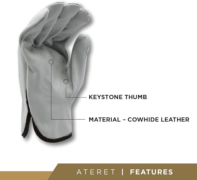 ATERET 12 Pairs Small Heavy Duty Durable Cowhide Leather Work Gloves I Driver Gloves for Truck Driving, Warehouse, Gardening, Farming-VerdiqueGarden