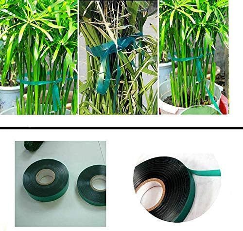 12 Rolls 150 Feet Stretch Tie Tape 0.5 Inch Garden Tie Tape Thick Plant Ribbon Garden Green Vinyl Stake for Indoor Outdoor Patio Plant Use-VerdiqueGarden