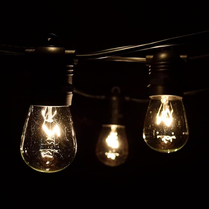 Hometown Evolution, Inc. Commercial E26 String Lights with 16 Gauge Wire (50 Foot 25 Socket, S14 11 Watt Clear Bulb)-VerdiqueGarden
