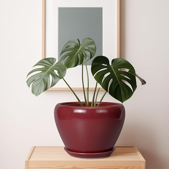 10 Inch Plant Pot - Ceramic Planter Pot with Drainage Hole and Saucer Large Planter for Indoor Plants Round Outdoor Flower Pot Mid-Century Decor Red-VerdiqueGarden