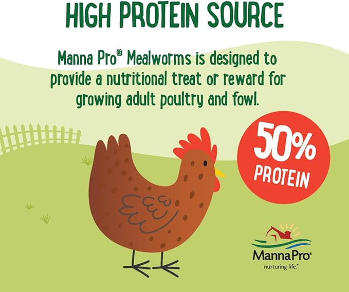 Manna Pro Farmhouse Favorites Mealworms Poultry Treat - Protein Treat for Chicken - Poultry, Turkey, Ducks, Geese, and Guinea Fowl Treat - Contains 50% Protein - 100% Natural Poultry Snack - 2lbs-VerdiqueGarden