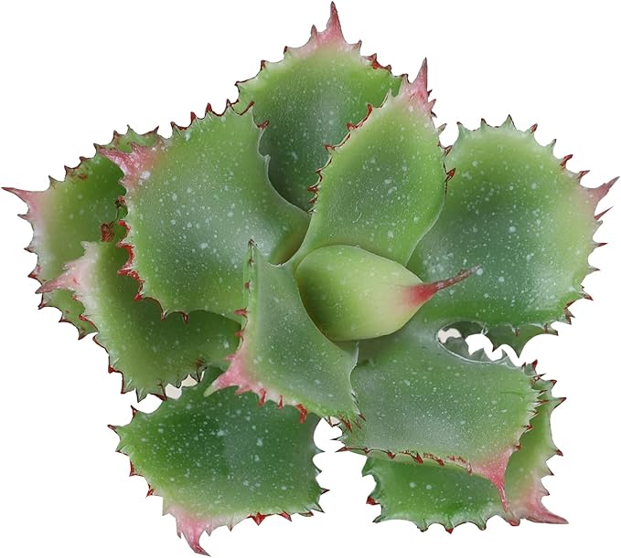 Duovlo Artificial Succulent Plant 7.08 Inch Faux Succulents Agave potatorum Flower Arrangement Craft Wall DIY Materials Pack of 2 (Green)-VerdiqueGarden