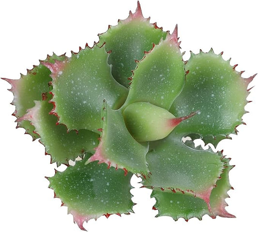 Duovlo Artificial Succulent Plant 7.08 Inch Faux Succulents Agave potatorum Flower Arrangement Craft Wall DIY Materials Pack of 2 (Green)-VerdiqueGarden