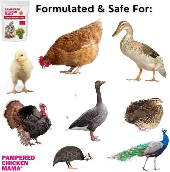 Pampered Chicken Mama Backyard Chicken Molting Supplement: Fluffiest Feathers Ever Backyard Chicken Feed and Supplies for Hens (6 Pound Economy Size)-VerdiqueGarden