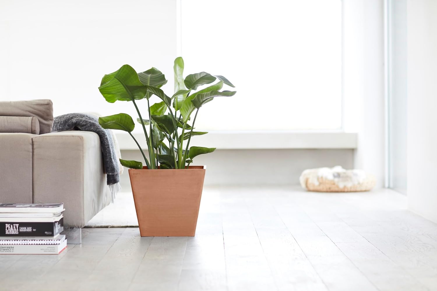 Ecopots Rotterdam Durable Modern Square Indoor/Outdoor Recycled-Based Composite Flower Planter, Terracotta Color, 15.75"-VerdiqueGarden