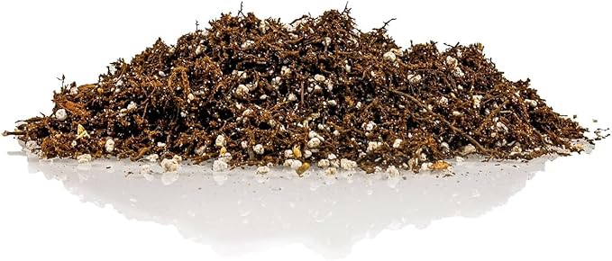 Fern + Perlite Soil Mix for Repotting and Planting Succulents and Cactuses - 4 Quart Bag-VerdiqueGarden
