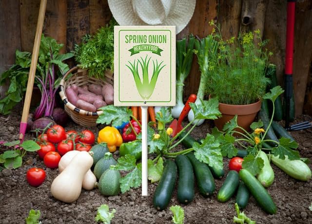 Eveokoki Aluminum Seed & Plant Labels - Plant Markes for Seedlings-Plant Tags for Pots - Garden Signs for Vegetable - Durable Markers for Plants Outdoor Waterproof - Garden Decor for Farmhouse-VerdiqueGarden