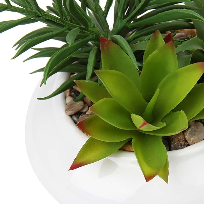 Hollyone Large Artificial Succulents Plants Faux Succulents in Pots Fake Succulent Plastic Potted Plants with White Ceramic Pot for Home Decor Office Desk Bathroom Shelf Living Room Decoration-VerdiqueGarden