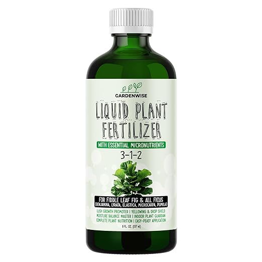 3-1-2 Liquid Fertilizer Concentrate with Micronutrients - Optimal Fiddle Leaf Fig Plant Food, Ideal for Ficus Lyrata & Fig Trees, Gold Leaf Enhanced Indoor Plant Fertilizer (8 OZ)-VerdiqueGarden