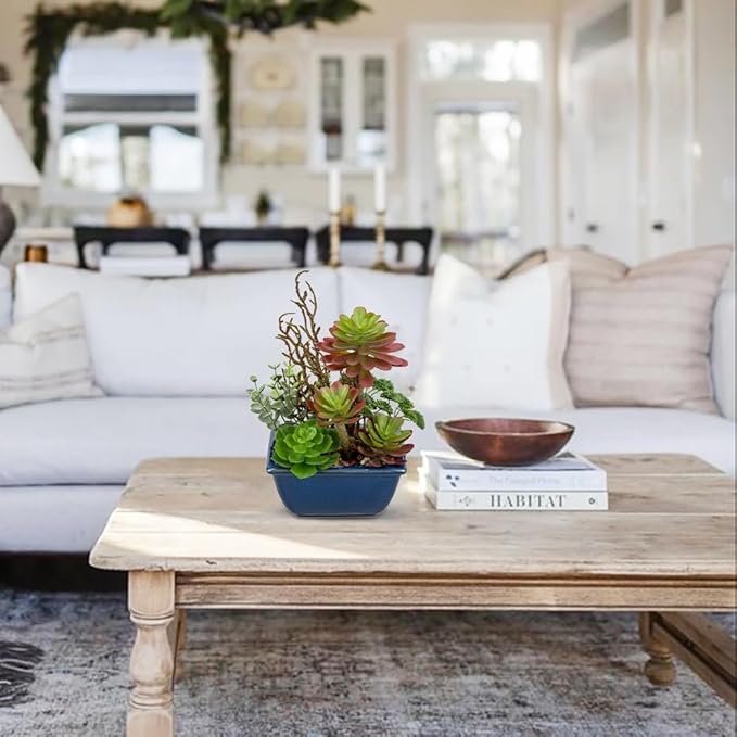 Small Faux Plant Assorted Fake Succulents Plants with Glazed Ceramic Pot Faux Succulents Arrangement Cement Potted Desk Plants Small Fake Plants for Home Table Office Bathroom Shelf Living Room Decor-VerdiqueGarden