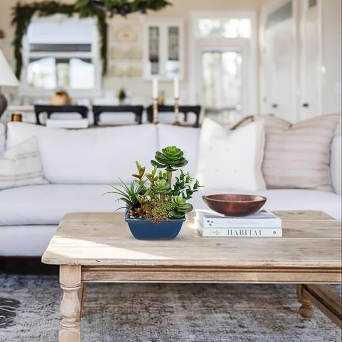 Small Faux Plant Assorted Fake Succulents Plants with Glazed Ceramic Pot Faux Succulents Arrangement Cement Potted Desk Plants Small Fake Plants for Home Table Office Bathroom Shelf Living Room Decor-VerdiqueGarden