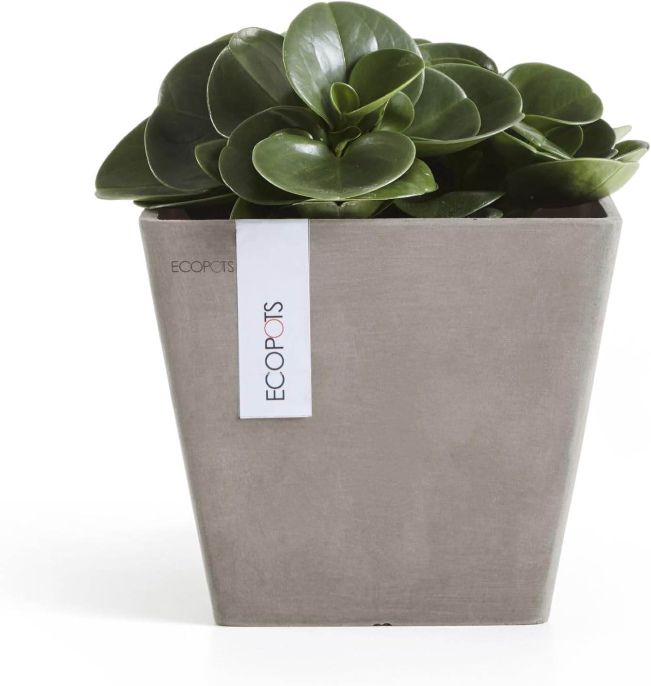 Ecopots Rotterdam Durable Modern Square Indoor/Outdoor Recycled-Based Composite Flower Planter, Taupe, 8"-VerdiqueGarden