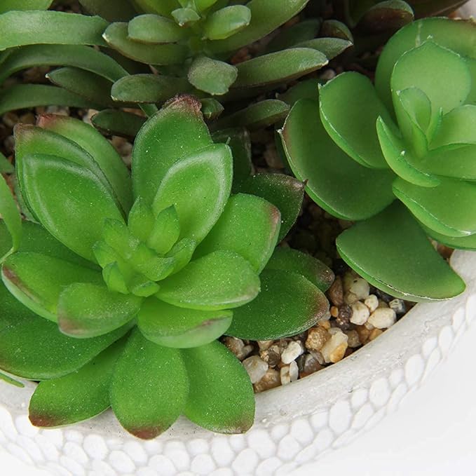 Briful Small Fake Plants Assorted Faux Succulents in Pots Realistic Succulents Plants Artificial with Cement Pots for Home Table Office Desk Bathroom Shelf Living Room Decor-VerdiqueGarden