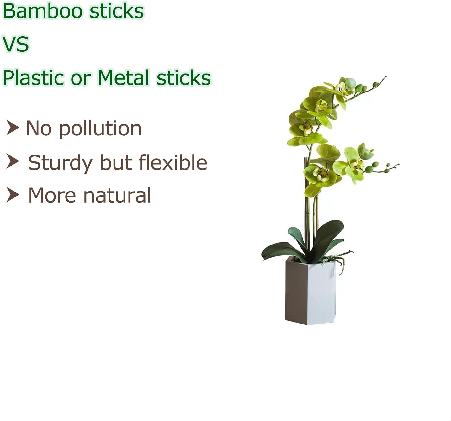 40pcs Natural Bamboo Sticks for Indoor and Outdoor Plants, 16 Inch Plant Support Stakes for Tomato, Beans, Potted Plants and Vegetable-VerdiqueGarden