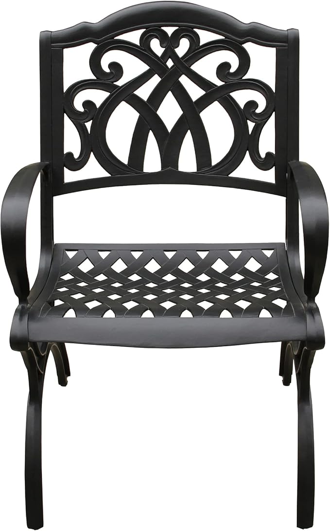 Ornate Traditional Outdoor Cast Aluminum Black Patio Dining Chair-VerdiqueGarden