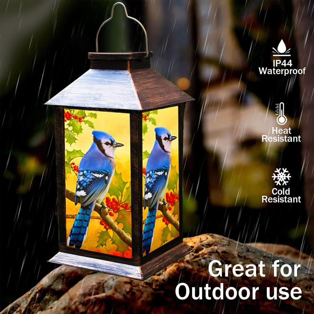 Solar Lanterns Outdoor Hanging Blue Jay Solar Lights Decorative for Garden Patio Porch and Tabletop PVC Waterproof LED Lantern (1pack)…-VerdiqueGarden