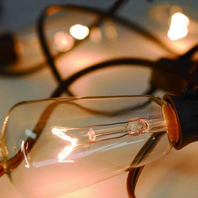 10Ft Outdoor String Lights Waterproof, Hanging Patio Lights with 11 Edison Bulbs (1 Spare), ST40 Vintage Edison Bulbs String Lights for Indoor Garden Backyard Party Wedding Balcony Decor- Black-VerdiqueGarden