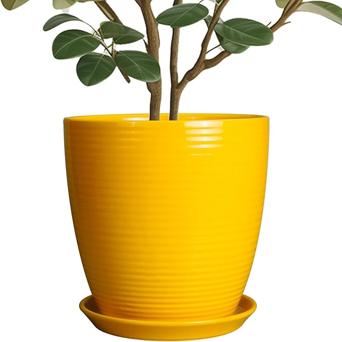 10 Inch Plant Pot - Ceramic Pot for Plants Outdoor Planter for Indoor Plants Large Plant Pot with Drainage Hole and Saucer Round Flower Pot for Home Patio Office Yellow-VerdiqueGarden