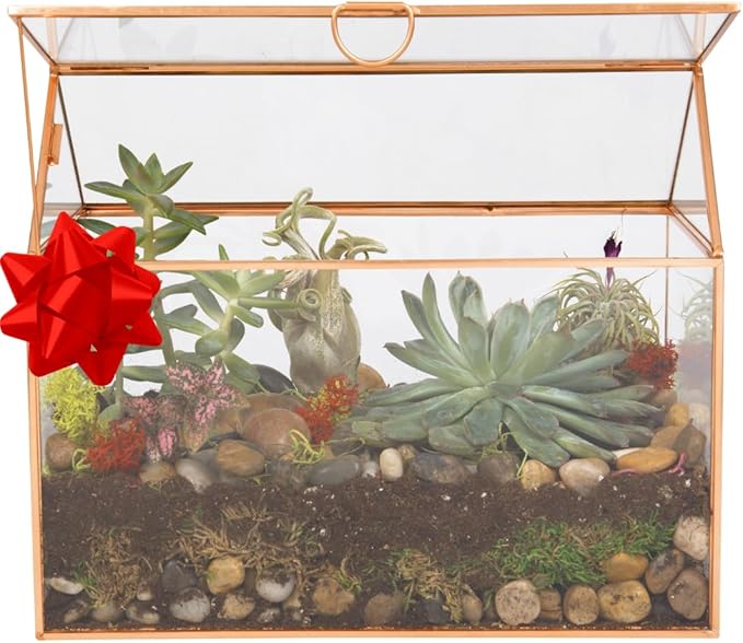 D'Eco Glass House Plant Terrarium (10"x6"x8") - Indoor Tabletop Gold Geometric Planter Terrarium for Succulents, Air Plants, Moss - Home, Garden, Wedding & Office Decor - Gift for Plant Lovers-VerdiqueGarden