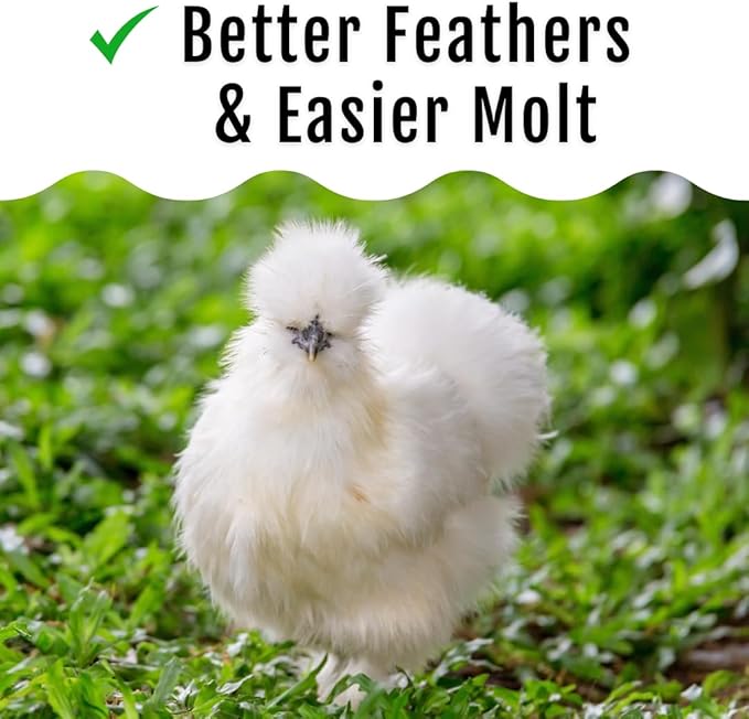 Grub Fuel Black Soldier Fly Larvae for Chickens - Nutrient-Packed BSFL, Sustainably Sourced Snack for Poultry, Rich in Protein, Calcium, Fiber, Essential Fatty Acids, USA Grown (1LB)-VerdiqueGarden